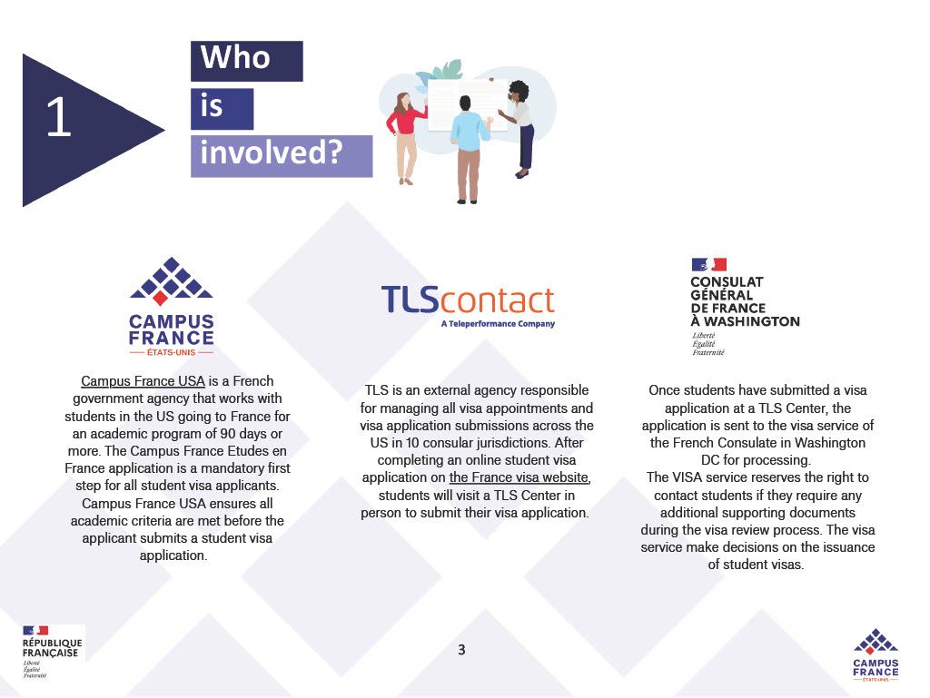 Campus France, TLScontact, and the Consulate of France are involved in the student visa process.