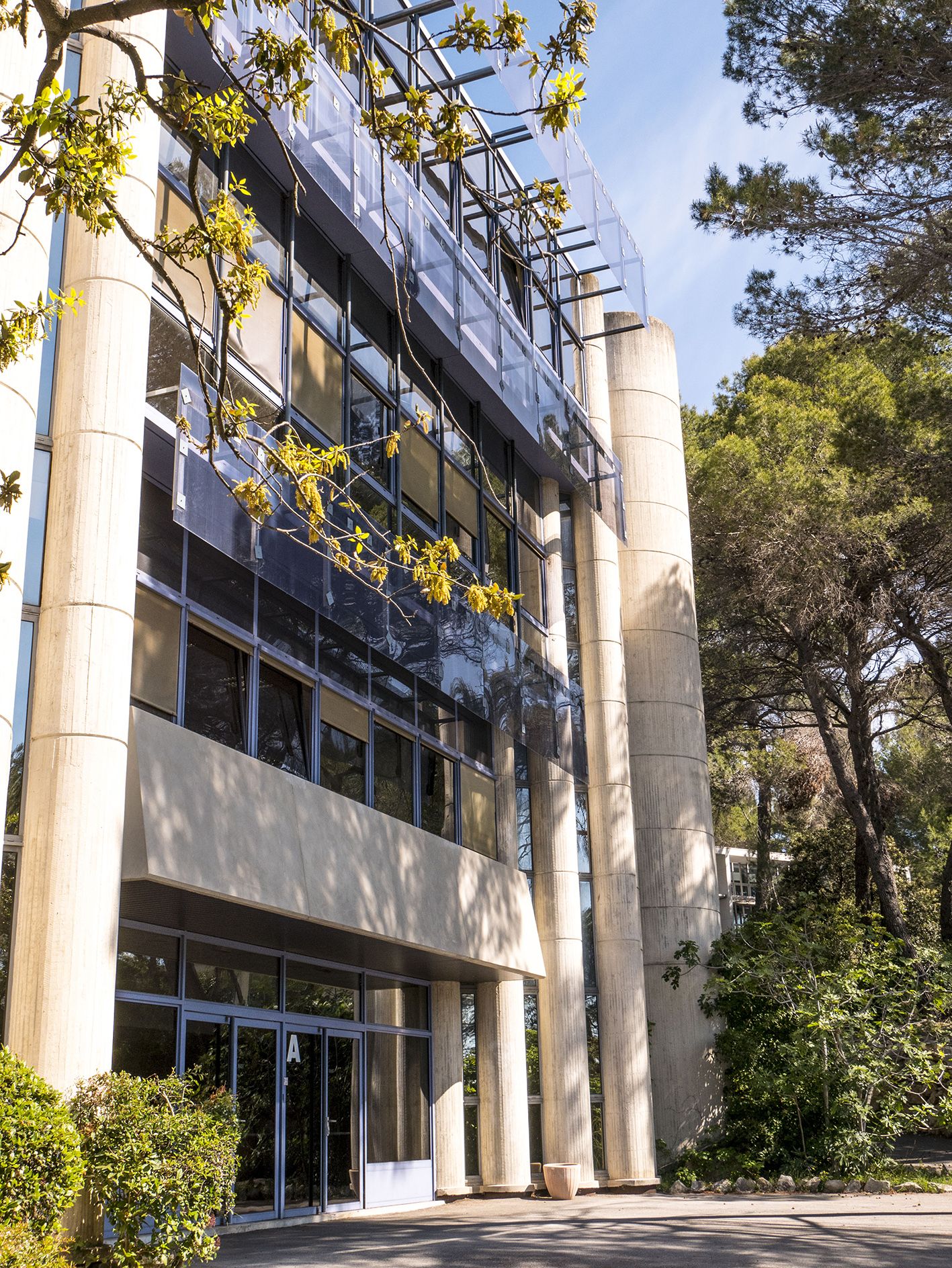 Alternate text to describe image