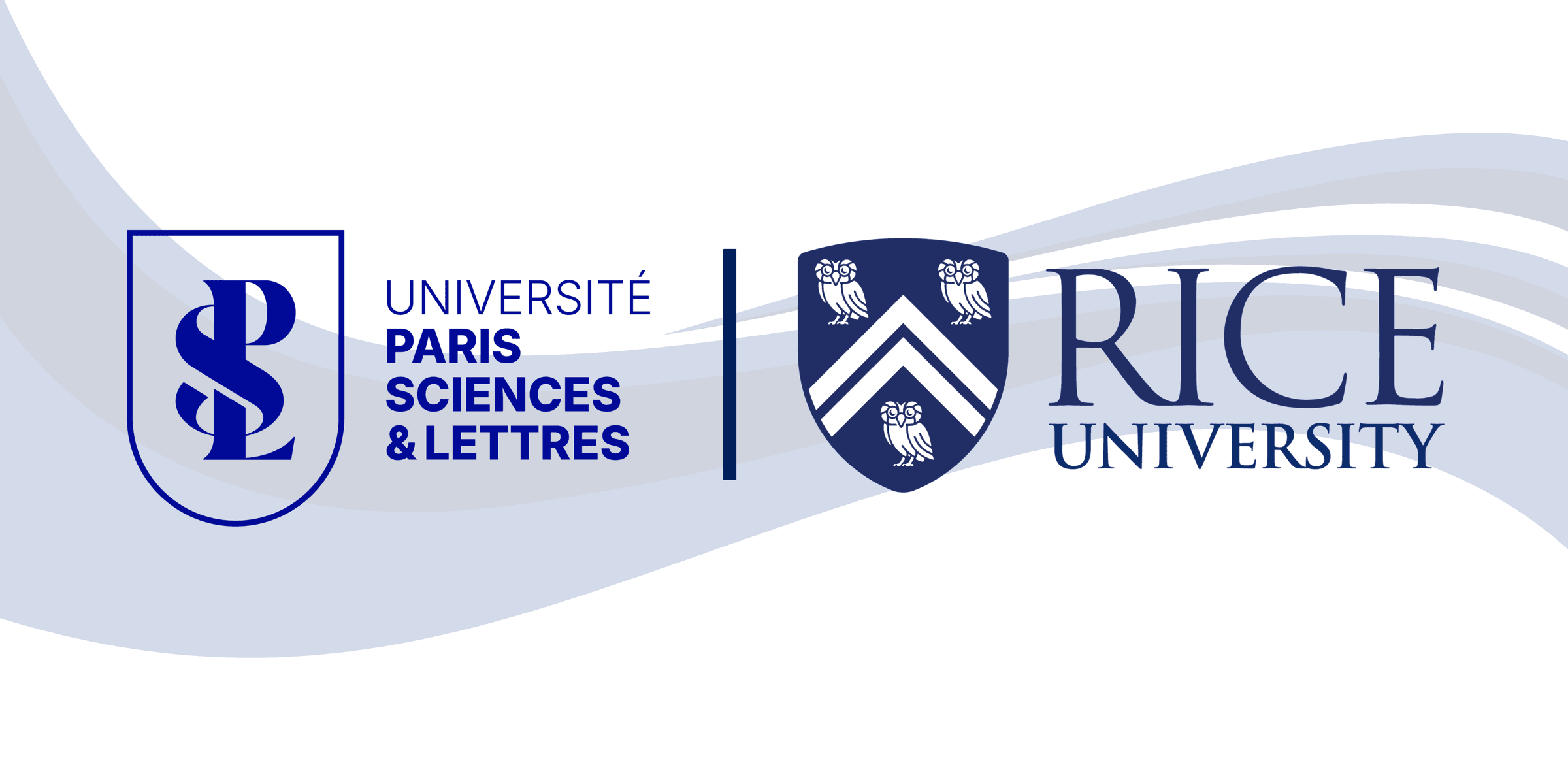 Alternate text to describe image