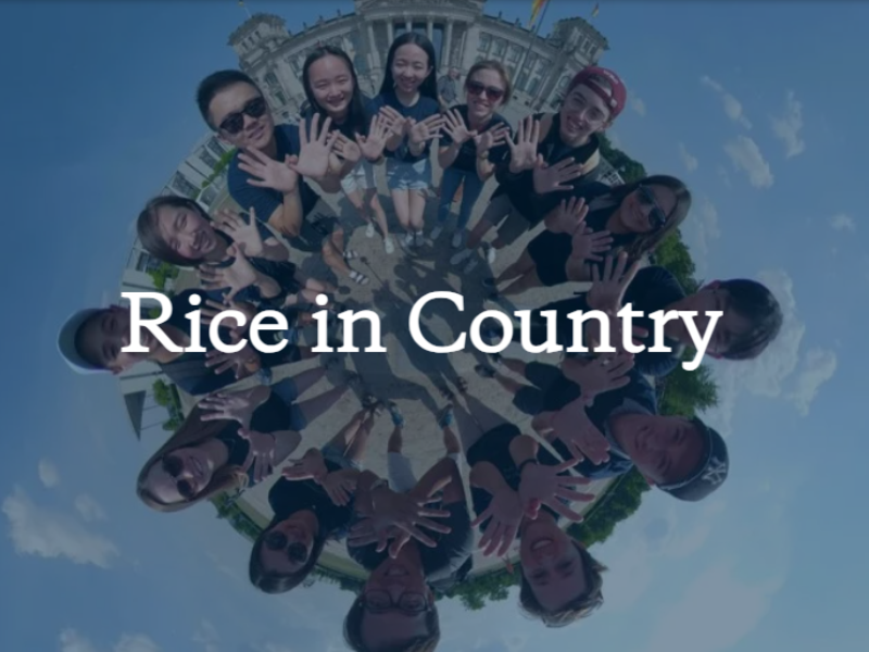 Rice in country